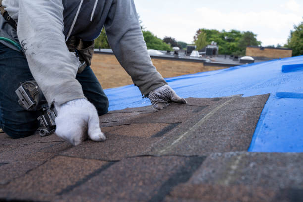 Best Shingle Roofing Installation  in Polson, MT